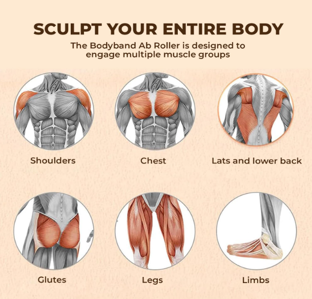 Automatic Rebound Ab Wheel with Phone Mount: Mute Abdominal Roller & Core Strength Equipment for Quiet Home Gym Use